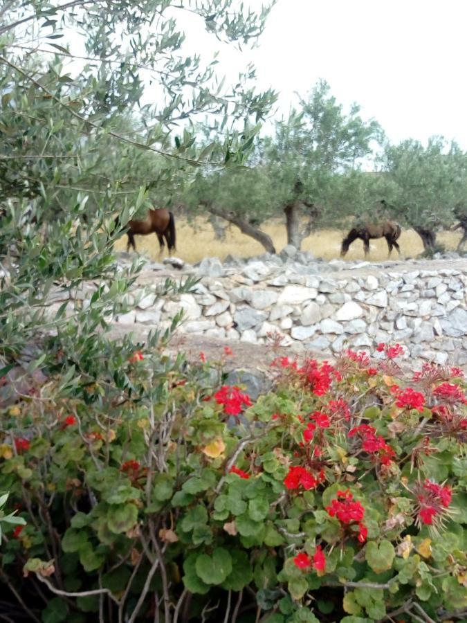 Апартаменты Charouda Stone Tower Pyrgos Dirou Экстерьер фото